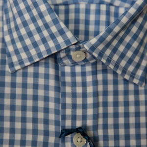 Blue Gingham Shirt
